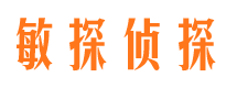 博湖侦探公司